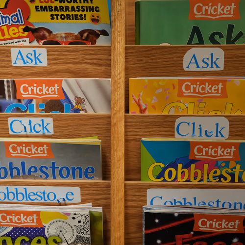 Designing Microschool Curriculum: Philosophy & Fundamentals